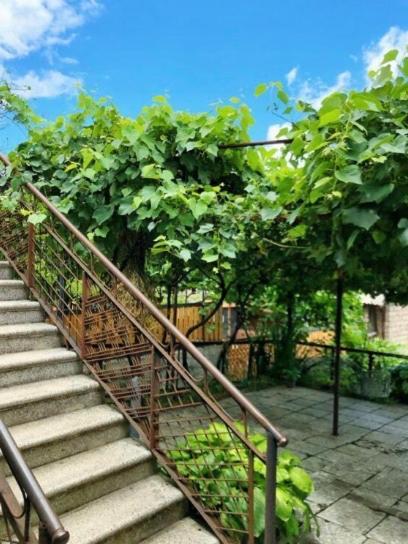 Achela'S Guesthouse Borjomi Exterior photo